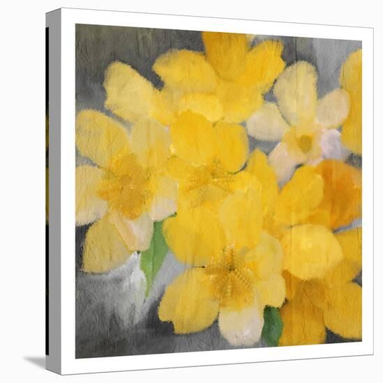 Sunshine Blooms-Kimberly Allen-Stretched Canvas