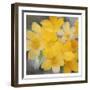 Sunshine Blooms-Kimberly Allen-Framed Art Print