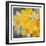 Sunshine Blooms-Kimberly Allen-Framed Art Print