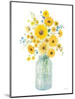 Sunshine Bouquet I Light in Jar-Danhui Nai-Mounted Art Print