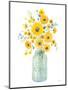 Sunshine Bouquet I Light in Jar-Danhui Nai-Mounted Art Print
