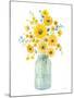 Sunshine Bouquet I Light in Jar-Danhui Nai-Mounted Art Print