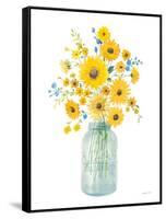 Sunshine Bouquet I Light in Jar-Danhui Nai-Framed Stretched Canvas