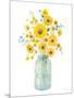 Sunshine Bouquet I Light in Jar-Danhui Nai-Mounted Art Print