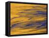 Sunshine Colors Waves off Torrey Pines Cliffs, La Jolla, California, USA-Arthur Morris-Framed Stretched Canvas