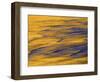 Sunshine Colors Waves off Torrey Pines Cliffs, La Jolla, California, USA-Arthur Morris-Framed Photographic Print