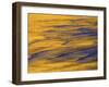 Sunshine Colors Waves off Torrey Pines Cliffs, La Jolla, California, USA-Arthur Morris-Framed Photographic Print