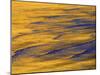 Sunshine Colors Waves off Torrey Pines Cliffs, La Jolla, California, USA-Arthur Morris-Mounted Photographic Print