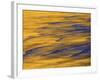 Sunshine Colors Waves off Torrey Pines Cliffs, La Jolla, California, USA-Arthur Morris-Framed Photographic Print