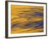 Sunshine Colors Waves off Torrey Pines Cliffs, La Jolla, California, USA-Arthur Morris-Framed Photographic Print