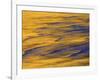 Sunshine Colors Waves off Torrey Pines Cliffs, La Jolla, California, USA-Arthur Morris-Framed Photographic Print