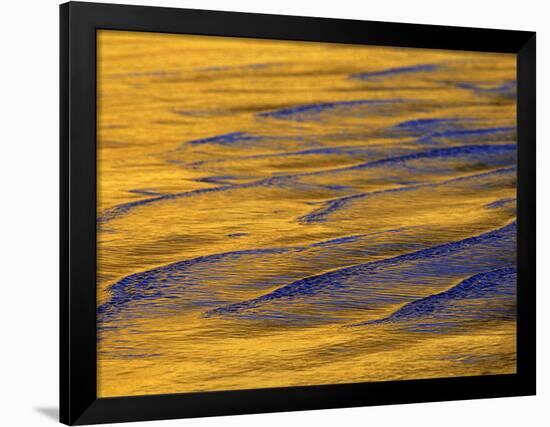 Sunshine Colors Waves off Torrey Pines Cliffs, La Jolla, California, USA-Arthur Morris-Framed Photographic Print