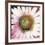 Sunshine Flower I-Leslie Bernsen-Framed Giclee Print