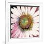 Sunshine Flower I-Leslie Bernsen-Framed Giclee Print