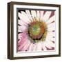 Sunshine Flower I-Leslie Bernsen-Framed Giclee Print