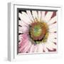 Sunshine Flower I-Leslie Bernsen-Framed Giclee Print