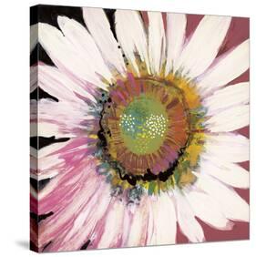 Sunshine Flower I-Leslie Bernsen-Stretched Canvas