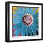 Sunshine Flower II-Leslie Bernsen-Framed Art Print