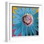 Sunshine Flower II-Leslie Bernsen-Framed Art Print