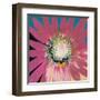 Sunshine Flower III-Leslie Bernsen-Framed Art Print