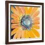 Sunshine Flower IV-Leslie Bernsen-Framed Art Print