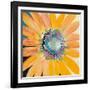 Sunshine Flower IV-Leslie Bernsen-Framed Art Print