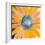 Sunshine Flower IV-Leslie Bernsen-Framed Art Print