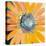 Sunshine Flower IV-Leslie Bernsen-Stretched Canvas