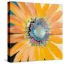 Sunshine Flower IV-Leslie Bernsen-Stretched Canvas