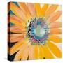 Sunshine Flower IV-Leslie Bernsen-Stretched Canvas