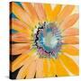 Sunshine Flower IV-Leslie Bernsen-Stretched Canvas