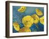 Sunshine Flowers-Sloane Addison  -Framed Art Print