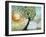 Sunshine Keeps Me Happy-Blenda Tyvoll-Framed Giclee Print