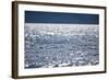 Sunshine on Pacific Ocean in Alaska-Paul Souders-Framed Photographic Print