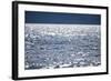 Sunshine on Pacific Ocean in Alaska-Paul Souders-Framed Photographic Print