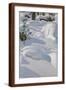 Brown Frame