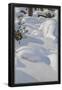 Essential Black