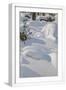 White Frame