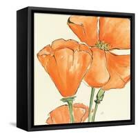 Sunshine Poppy III-Chris Paschke-Framed Stretched Canvas