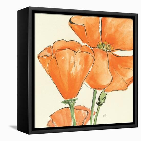 Sunshine Poppy III-Chris Paschke-Framed Stretched Canvas