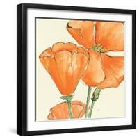 Sunshine Poppy III-Chris Paschke-Framed Art Print