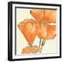 Sunshine Poppy III-Chris Paschke-Framed Art Print