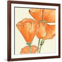 Sunshine Poppy III-Chris Paschke-Framed Art Print