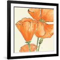 Sunshine Poppy III-Chris Paschke-Framed Art Print