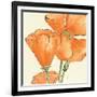 Sunshine Poppy III-Chris Paschke-Framed Art Print