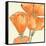 Sunshine Poppy III-Chris Paschke-Framed Stretched Canvas