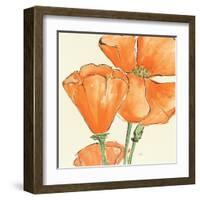 Sunshine Poppy III-Chris Paschke-Framed Art Print