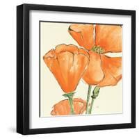 Sunshine Poppy III-Chris Paschke-Framed Art Print