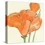 Sunshine Poppy IV-Chris Paschke-Stretched Canvas