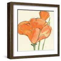 Sunshine Poppy IV-Chris Paschke-Framed Art Print